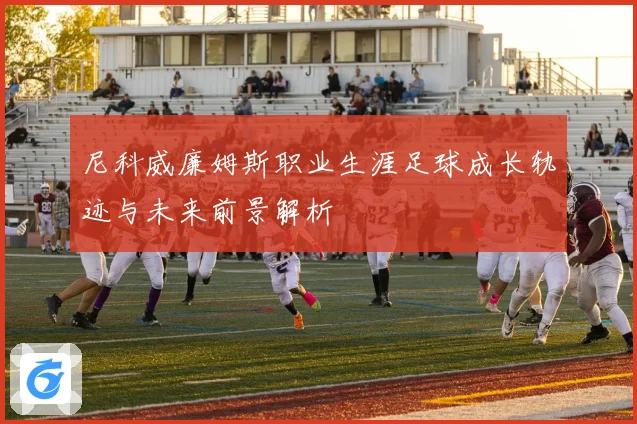 尼科威廉姆斯职业生涯足球成长轨迹与未来前景解析