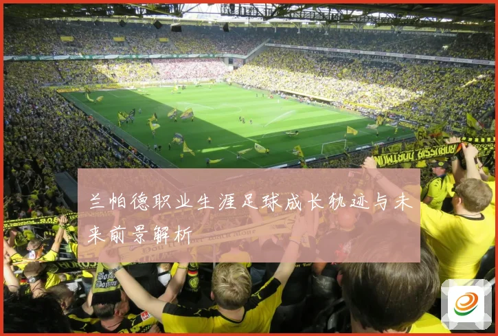 兰帕德职业生涯足球成长轨迹与未来前景解析