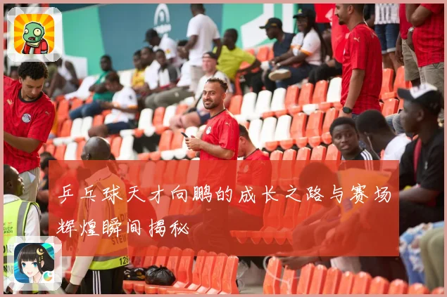 乒乓球天才向鹏的成长之路与赛场辉煌瞬间揭秘