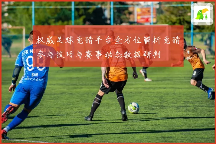 权威足球竞猜平台全方位解析竞猜参与技巧与赛事动态数据研判